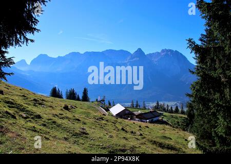 Vista dall'alto sul Tuftlalm (1496m m) con pascoli alpini, sullo sfondo la catena montuosa del Mieminger con la vetta prominente delle Sopnenspitze (2417m m), Lermoos, Zugspitzarena, Tirolo, Austria Foto Stock