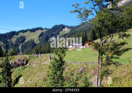 Vista dalla stazione panoramica di ritorno a Tuftlalm (1496m), Lermoos, Zugspitzarena, Tirolo, Austria Foto Stock