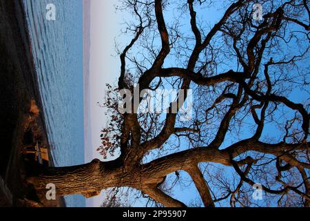 Panchina all'alba sul lago, Utting, Ammersee, Voralpensee, Alpenvorland, Alta Baviera, Baviera, Germania Foto Stock