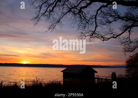 Boathouse all'alba sulla riva del lago, Holzhausen, Ammersee, Voralpensee, Alpenvorland, Alta Baviera, Baviera, Germania Foto Stock