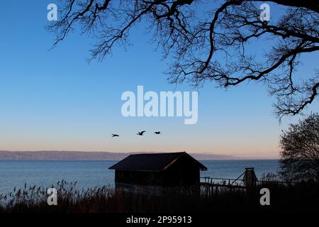 Boathouse all'alba sulla riva del lago, Holzhausen, Ammersee, Voralpensee, Alpenvorland, Alta Baviera, Baviera, Germania Foto Stock