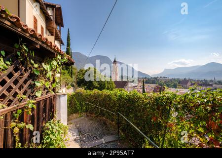 Tappeiner Promenade, un sentiero a Merano (Alto Adige, Italia) offre un'atmosfera mediterranea e alpina e una bella vista sulla città e sulla Valle dell'Adige Foto Stock