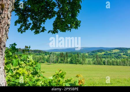 Hruby Jesenik (Altvatergebirge, montagne dell'alta Assia), vista di Hruby Jesenik (Altvatergebirge, montagne dell'alta Assia) in Moravskoslezsky, regione moraviana-silesiana, regione di Mährisch-schlesische, ceco Foto Stock