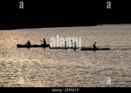 Germania, Brandeburgo, Zootzensee, Distretto dei Laghi di Meclemburgo, Parco dei Laghi di Müritz, canoista al tramonto Foto Stock