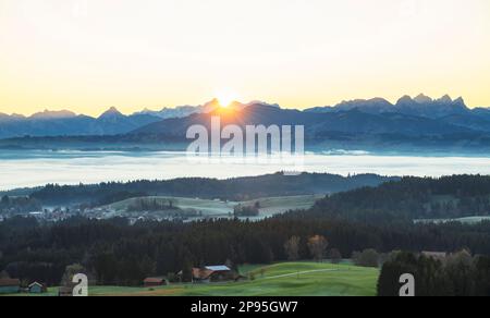 Autunno Allgäu con foreste e nebbia all'alba. Vista sulla valle misteriosa dell'Illertal fino alle Alpi. Baviera, Germania Foto Stock