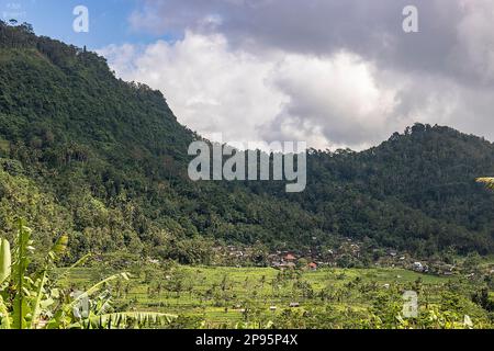 Bali e le sue bellissime risaie a terrazza, paesaggi mozzafiato e natura spettacolare in una vegetazione lussureggiante Foto Stock