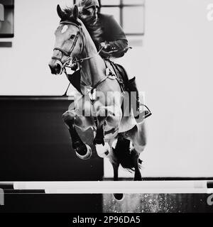 Un'immagine in bianco e nero di un cavallo da corsa con un pilota in sella, che salta su un'alta barriera in una gara di salto. Sport equestri An Foto Stock