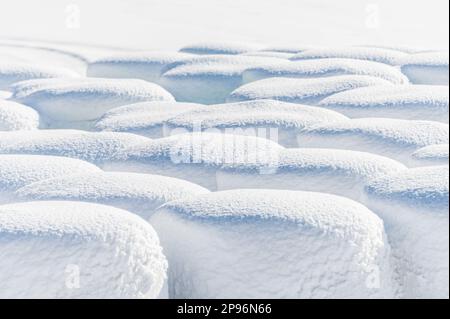 Durante l'inverno, le balle di fienagione ricoperte di neve, avvolte in un foglio verde, forniranno cibo agli animali da fattoria. Foto Stock