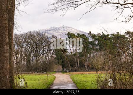 Una strada sterrata conduce attraverso prati verdi e boschi fino alla montagna innevata in inverno Foto Stock