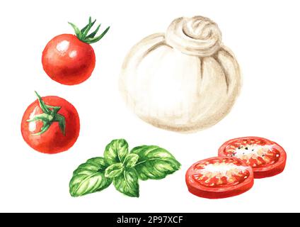 Burrata formaggio italiano morbido con pomodori e basilico set. Illustrazione di acquerello disegnata a mano isolata su sfondo bianco Foto Stock