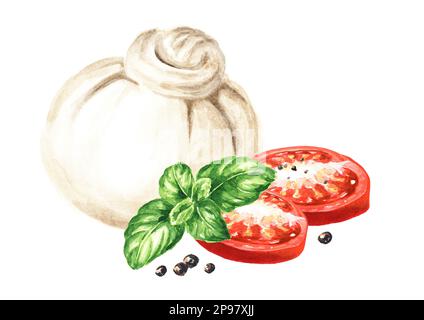 Burrata formaggio italiano morbido con pomodori e basilico,. Illustrazione di acquerello disegnata a mano isolata su sfondo bianco Foto Stock