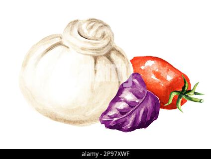 Burrata formaggio italiano morbido con pomodori e basilico. Illustrazione di acquerello disegnata a mano isolata su sfondo bianco Foto Stock