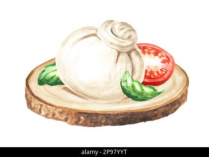 Burrata formaggio italiano morbido con pomodori e basilico. Illustrazione a acquerello disegnata a mano, isolata su sfondo bianco Foto Stock