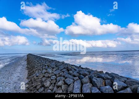 Il Mare di Wadden, Frisia orientale, tra Bensersiel e Neuharlingersiel, frangiflutti dietro la diga, bassa Sassonia, scale, Germania Foto Stock