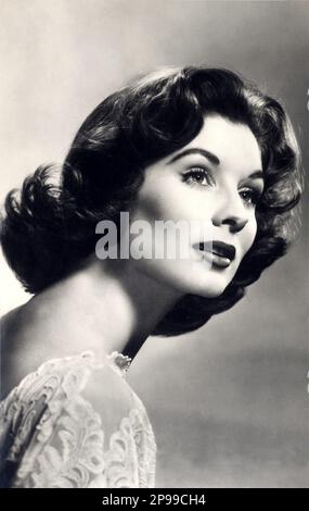 1958 : L'attrice del film SUZY PARKER ( 1932 - 2003 ) , publicity still for the movie TEN NORTH FREDERICK ( un pugno di polvere ) di Philip Dunne , da un romanzo di John o'Hara - COMMEDIA - DIVA - DIVINA - pizzo - pizzo - colletto -- -- Archivio GBB Foto Stock