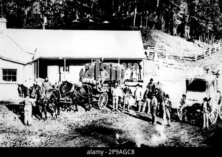 Stagecache al Bealey Hotel (probabilmente) a Westland, Nuova Zelanda, probabilmente alla fine del 1800s. Gli alberghi dovevano fornire pascolo e un cambio di cavalli per la diligenza. Foto Stock