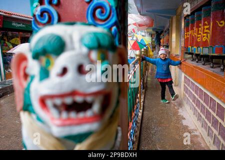 Ragazza e ruote della preghiera, in Main Bazar street,McLeod Ganj Dharamsala, Himachal Pradesh, India, Asia Foto Stock