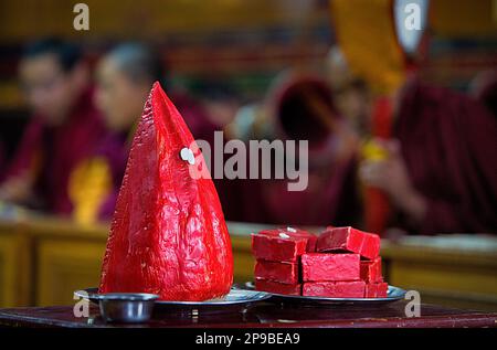 Offrendo,Puja in Dip Tse Chok Ling Monastero.McLeod Ganj Dharamsala, Himachal Pradesh, India, Asia Foto Stock