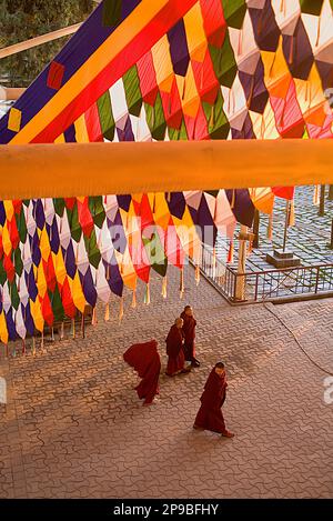 I monaci nel Monastero Namgyal,nel complesso Tsuglagkhang. McLeod Ganj Dharamsala, Himachal Pradesh, India, Asia Foto Stock