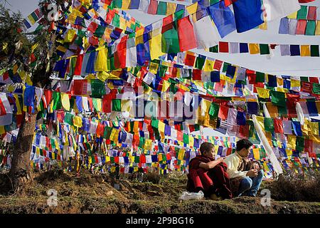 Amici, e bandiere tibetane di preghiera a Lhagyal Ri, vicino al complesso di Tsuglagkhang, McLeod Ganj, Dharamsala, stato di Himachal Pradesh, India, Asia Foto Stock