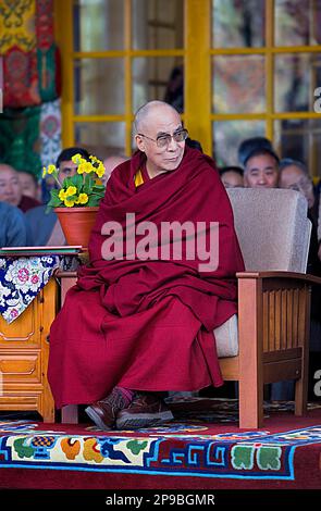 La sua santità il Dalai lama, nel Monastero di Namgyal, nel complesso di Tsuglagkhang. McLeod Ganj, Dharamsala, Himachal Pradesh, India, Asia Foto Stock