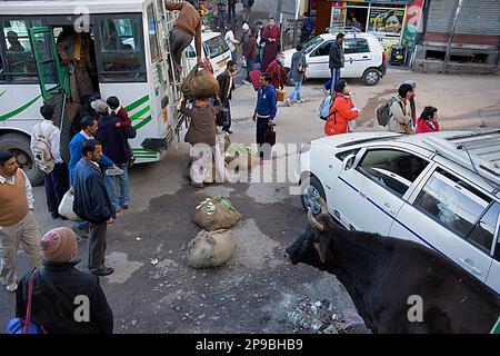 Scena di strada nella piazza principale, McLeod Ganj Dharamsala, Himachal Pradesh, India, Asia Foto Stock