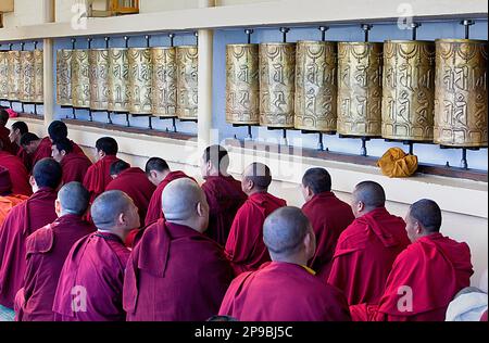 I monaci al monastero Namgyal,nel complesso Tsuglagkhang. McLeod Ganj Dharamsala, Himachal Pradesh, India, Asia Foto Stock