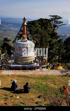 Stupa in Lhagyal ri,vicino Tsuglagkhang complesso,McLeod Ganj Dharamsala, Himachal Pradesh, India, Asia Foto Stock