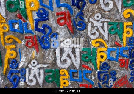 Iscrizioni su pietre di preghiera scolpite in Lhagyal Ri, vicino al complesso di Tsuglagkhang, McLeod Ganj, Dharamsala, Himachal Pradesh stato, India, Asia Foto Stock