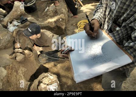 Il paleontologo Iwan Kurniawan disegna un disegno su carta che mostra le posizioni delle ossa fossili dell'Elephas hysudrindicus, una specie di elefante estinta vissuta durante l'epoca del Pleistocene, che in seguito è conosciuta come 'elefante di Blora' Mentre il suo team sta lavorando in background presso il sito di scavo di Sunggun, Mendalem, Kradenan, Blora, Central Java, Indonesia. Il team di ricerca dei vertebrati (Agenzia Geologica, Ministero indonesiano dell'energia e delle risorse minerali) guidato da Kurniawan stesso con Fachroel Aziz ha scoperto le ossa della specie quasi interamente (circa il 90% completo) che più tardi... Foto Stock