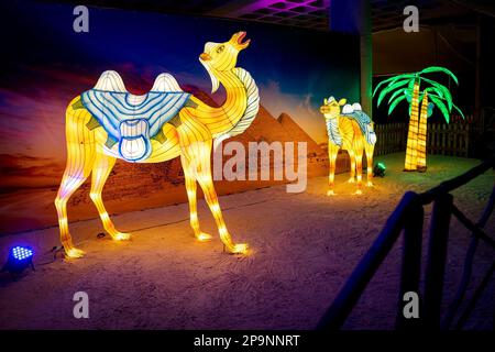 Johannesburg. 10th Mar, 2023. Questa foto scattata il 10 marzo 2023 mostra lanterne a forma di animale esposte al Wildlife Glow Festival di Johannesburg, Sud Africa. Credit: Shiraaz Mohamed/Xinhua/Alamy Live News Foto Stock