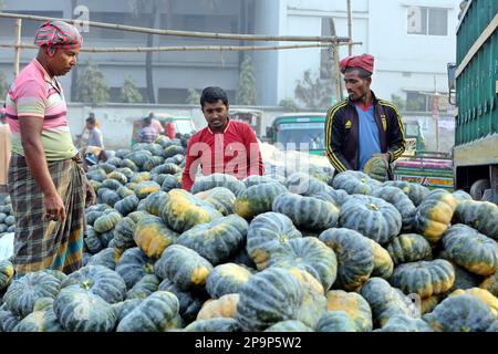 Dhaka, Bangladesh. 26th Feb, 2023. Mercato all'ingrosso di zucca a Bogura. I coltivatori portano le zucche al mercato, i grossisti comprano le zucche dai coltivatori e le vendono in vari mercati al dettaglio del paese. Bogura, Dhaka, Bangladesh, 10 marzo 2023. Foto di Habibur Rahman/ABACAPRESS.COM Credit: Abaca Press/Alamy Live News Foto Stock