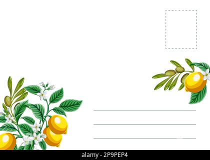 fatturato per cartoline con ramo di rami di limone, fiori e olivo. Elementi di disegno con agrumi, vettore illustrazione due limoni Illustrazione Vettoriale