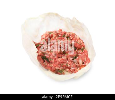 Preparazione del rotolo di cavolo ripieno su sfondo bianco Foto Stock