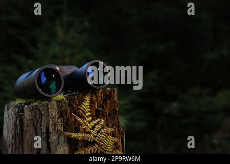 Binocoli su un tronco d'albero nella foresta, spazio per il testo Foto Stock