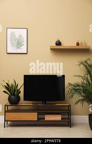 TV moderna su armadio e piante verdi vicino alla parete beige in camera. Design degli interni Foto Stock