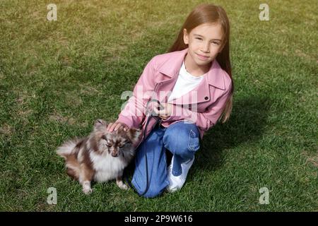 Bambina con il suo cane carino che cammina su erba verde Foto Stock