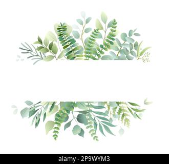 Piante verdi, acquerello bordo eucalipto. Decorazioni semplici per matrimoni, struttura in erbario minimalista, menu con foglia verde. Modello di poster con caratteri botanici e fiori selvatici. Illustrazione con isolamento vettoriale Illustrazione Vettoriale