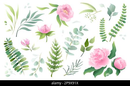 Acquerello bouquet di fiori, piante eleganti, ramo verde. Eucalipto e felce selvatiche, foglia floreale, fiori botanici verdi primavera, rose rosa. Collezione di illustrazioni vettoriali decorazione di nozze rustiche a base di erbe Illustrazione Vettoriale