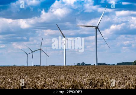 Windfarm nel Regno Unito Windfarm profondo Foto Stock