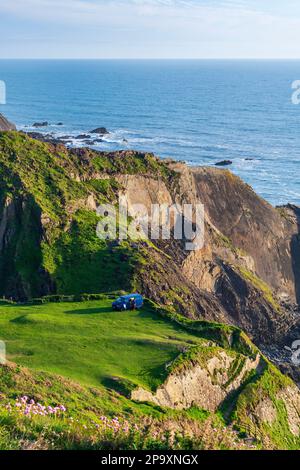 Hartland Quay, Devon, Inghilterra, Regno Unito, Europa Foto Stock