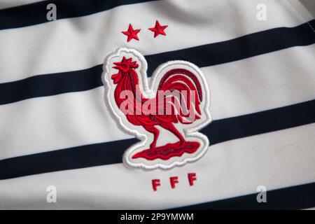 Gallo gallico gallo (coq gaulois) logo nazionale francese Foto Stock