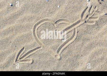 Conchiglie di mare sulla sabbia. Estate spiaggia sfondo. Vista superiore Foto Stock