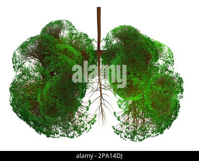 Profilo astratto di polmoni fatto di alberi con foglie verdi su sfondo bianco. Purificazione dell'aria Foto Stock