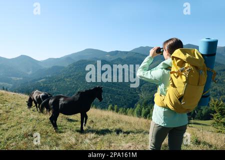 Turista con attrezzatura da trekking guardando attraverso binocoli in montagna, vista sul retro Foto Stock