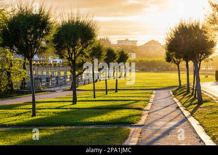 Alberi e passerelle nella penisola di Magdalena retroilluminazione del parco pubblico naturale durante il tramonto. Santander, Cantabria, Spagna. Foto Stock