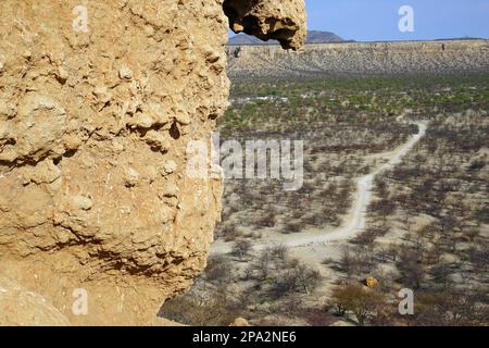 Vista dalla scogliera delle dita nella valle di Ugab, terrazze di Ugab, Republique, Vingerklip, ago di roccia, Namibia Foto Stock