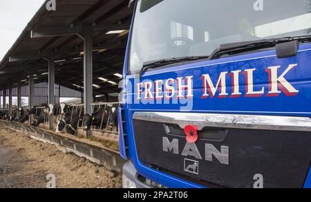 Produzione casearia, autocarro con autocisterna per il latte che raccoglie il latte dalla fattoria casearia, Cheshire, Inghilterra, Regno Unito Foto Stock