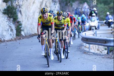 Il norvegese Tobias Foss di Jumbo-Visma ha mostrato in azione durante la fase 7 della 81st edizione della gara ciclistica Parigi-Nizza di otto giorni, 142,9km da Nizza al col de la Couillole, Francia, sabato 11 marzo 2023. FOTO DI BELGA DAVID PINTENS Foto Stock