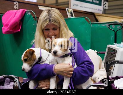 Birmingham, Regno Unito. 11th Mar, 2023. Preparativi per lo spettacolo. Giorno 3 del Crufts International Dog Show. È la più grande mostra di cani del mondo, a partire dal 1891. Crufts Dog Show Credit: Mark Thomas/Alamy Live News Foto Stock